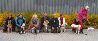 <span lang="en">Puppy course in Hammarby sjöstad Oct 8, 2013</span>